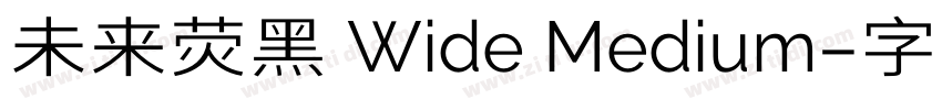 未来荧黑 Wide Medium字体转换